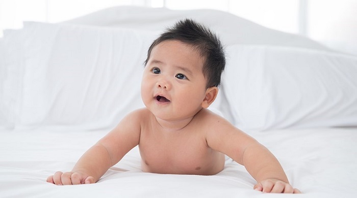 Sữa Dê Hipp Organic số 2 lon 400g cho trẻ 6-12 tháng