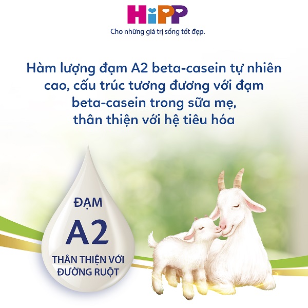 Sữa Dê Hipp Organic số 2 lon 400g cho trẻ 6-12 tháng