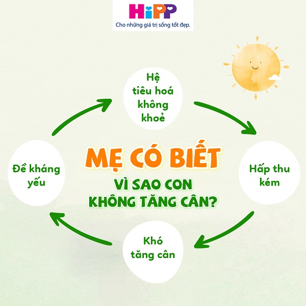 Sữa Hipp Combiotic số 2 lon 800g cho trẻ 6-12 tháng tuổi