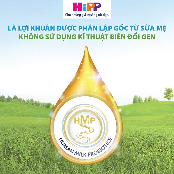 Sữa Hipp Combiotic số 2 lon 800g cho trẻ 6-12 tháng tuổi