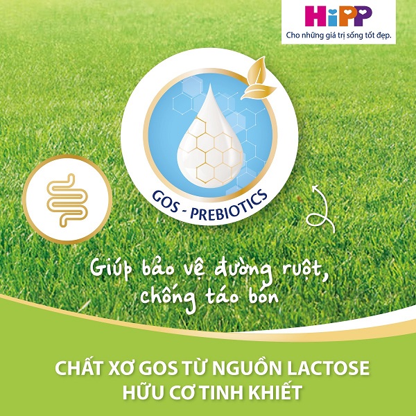 Sữa HiPP Combiotic số 3 lon 800g cho trẻ từ 1-3 tuổi