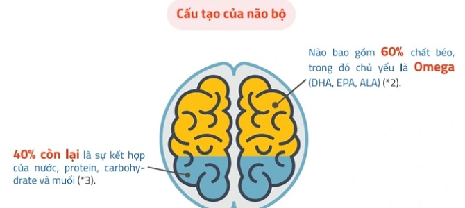 Sữa Dê Hipp Organic số 1 lon 400g cho trẻ 0-6 tháng