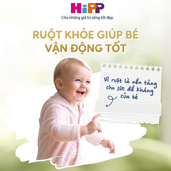 Sữa Hipp Combiotic số 2 lon 800g cho trẻ 6-12 tháng tuổi