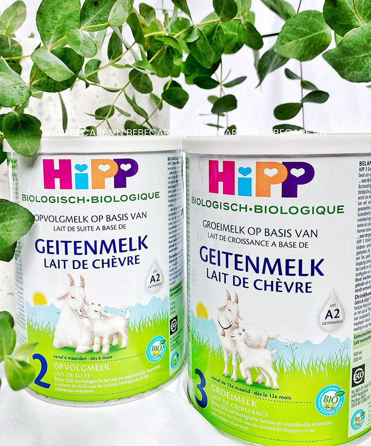 Cách pha sữa HiPP dê số 2